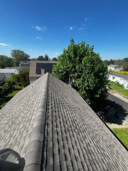 GT Restoration Picture 4