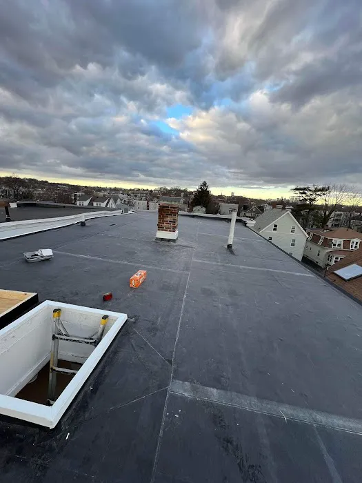 Extreme Roofing Picture 8