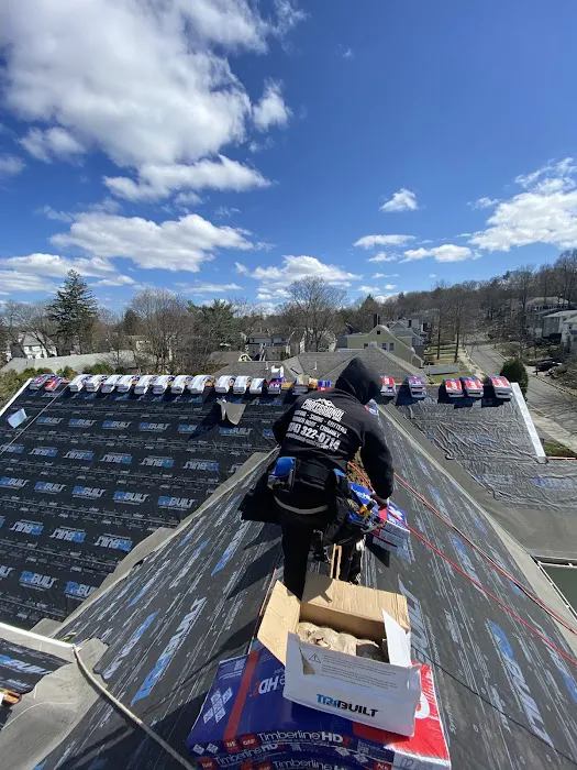 Extreme Roofing Picture 10
