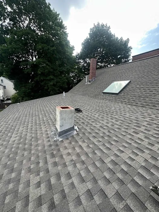 WS construction roofing Picture 5