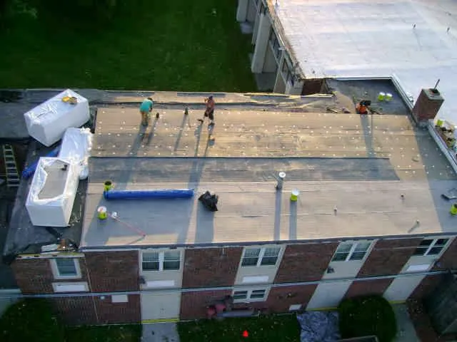 Shane's Roofing Picture 5