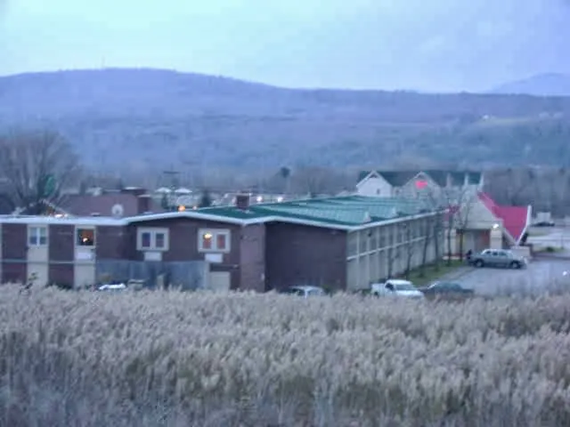 Shane's Roofing Picture 4