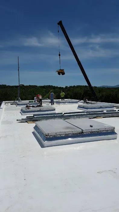 Palmieri Roofing Picture 1