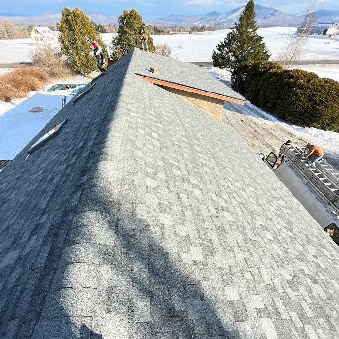 Palmieri Roofing Picture 5