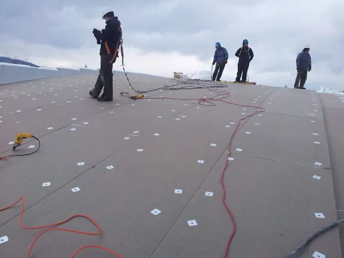 Palmieri Roofing Picture 2