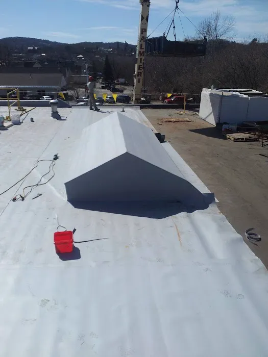 Palmieri Roofing Picture 6