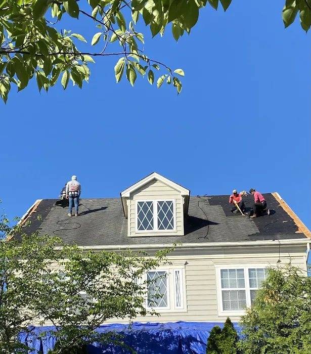 Capitol Insurance Restorations & Solar Picture 3