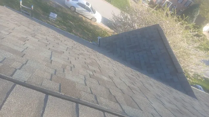 Crown Remodeling Picture 9