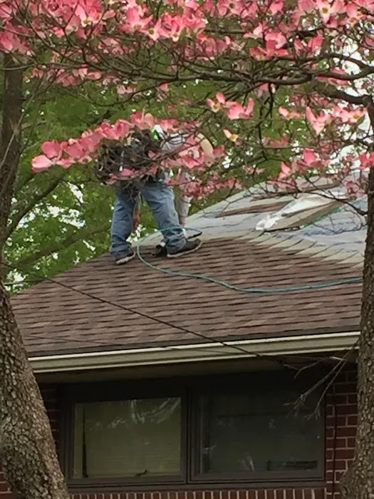 Rheam's Roofing & Remodeling Picture 8