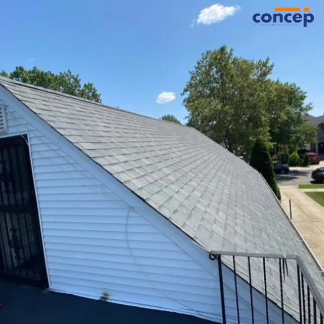 Concep Roofs Picture 5
