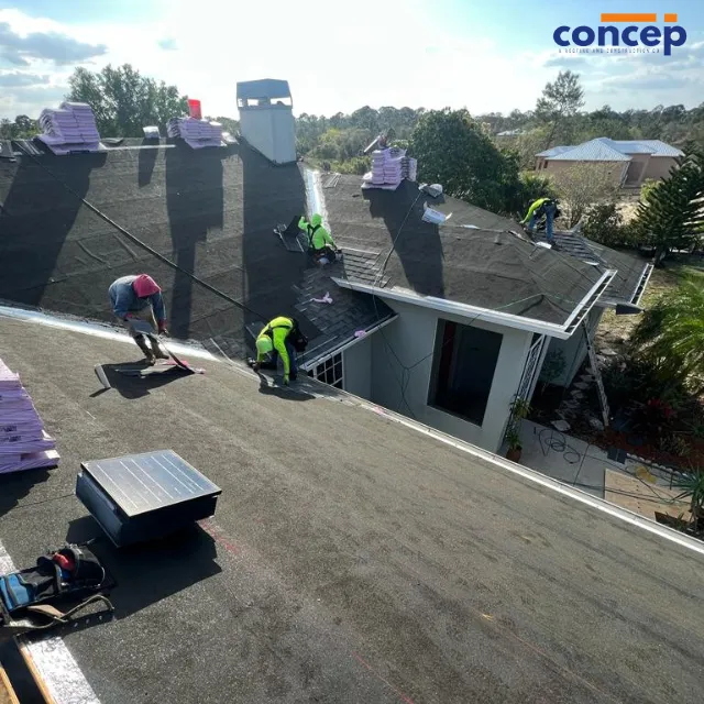 Concep Roofs Picture 2