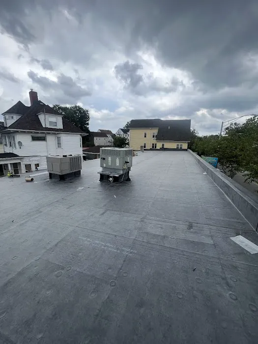 Concep Roofs Picture 1