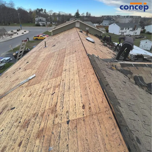 Concep Roofs Picture 7