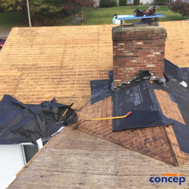 Concep Roofs Picture 10