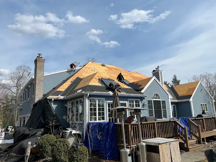 Lion Exteriors and Construction Picture 7