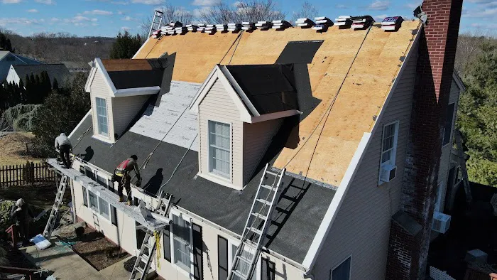 Skyview Exteriors Picture 9