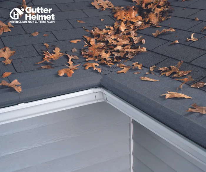 Gutter Helmet & Quality Roofing Picture 2