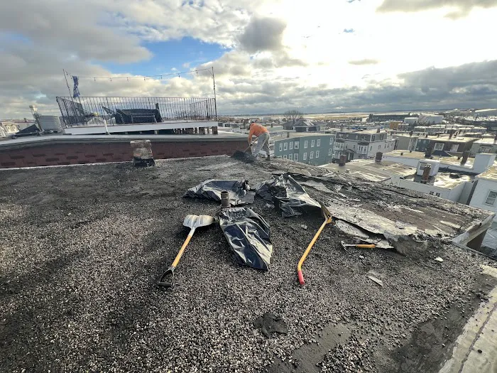 Firefox The Roofing Pro Picture 4