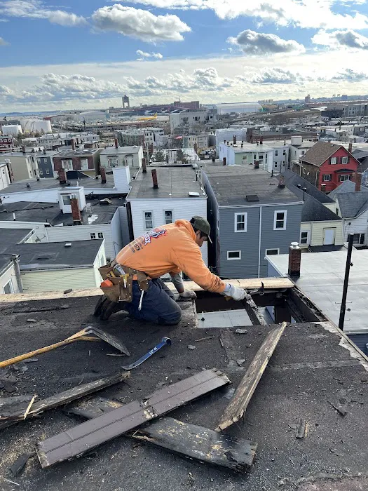 Firefox The Roofing Pro Picture 3