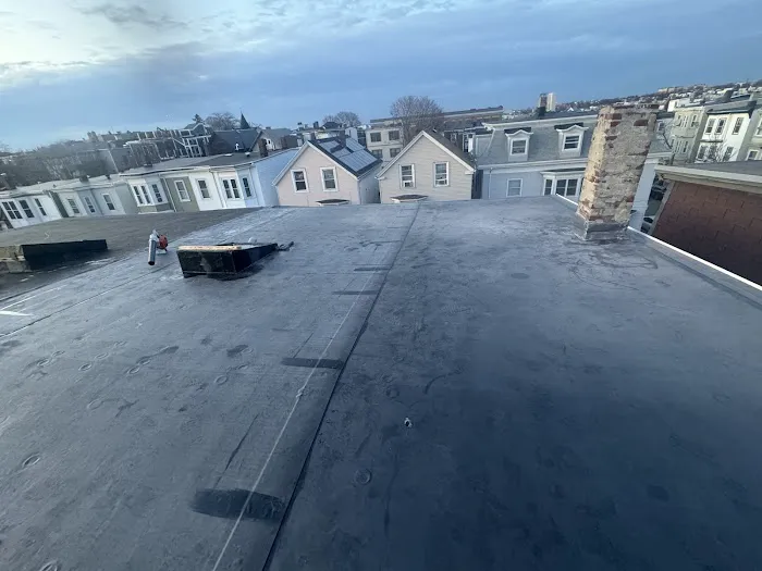 Firefox The Roofing Pro Picture 2