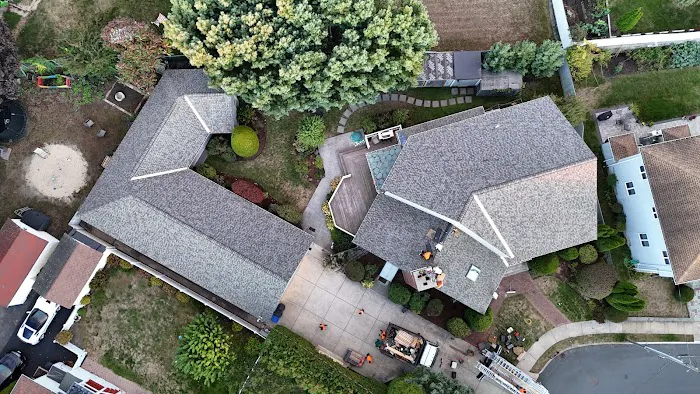 Firefox The Roofing Pro Picture 7