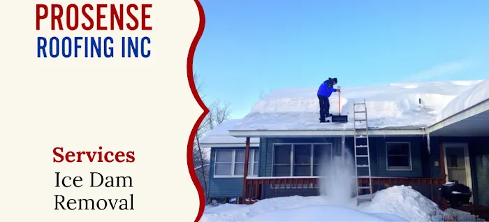 ProSense Roofing, Inc Picture 9