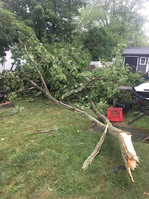 ProSense Roofing, Inc Picture 3