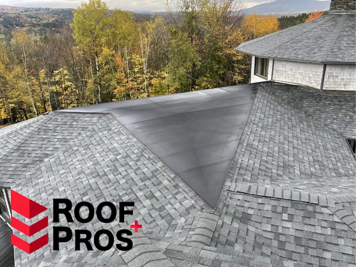 Roof Pros, Plus Picture 7
