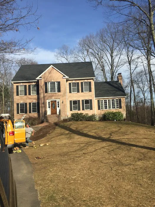 Mr. B's Roofing Picture 10