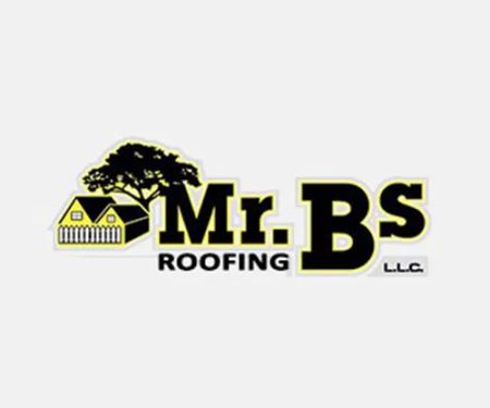 Mr. B's Roofing Ranger