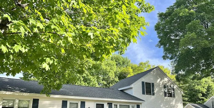 Roofing King Picture 5