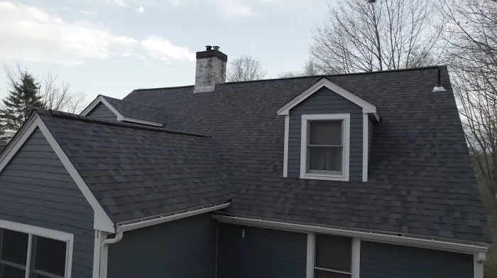 Tall Pine Roofing Picture 10