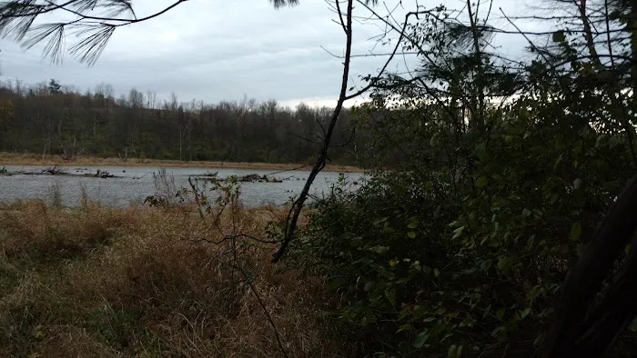 Consolidated Metal Roofing Picture 10