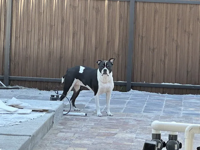 Reliable Roofers Picture 6