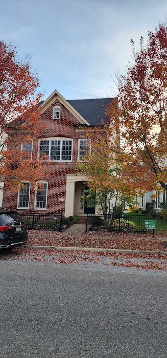 Terrapin roofing Picture 8