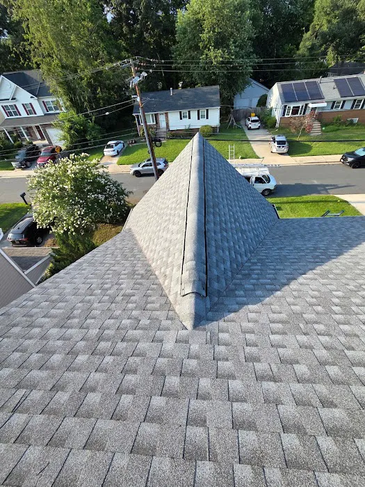 Terrapin roofing Picture 2