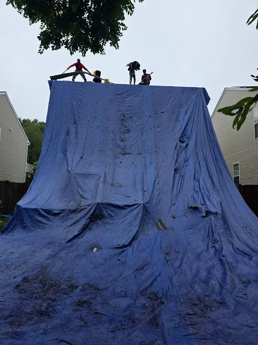 Terrapin roofing Picture 1