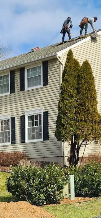 Terrapin roofing Picture 6