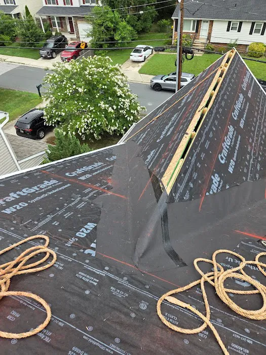 Terrapin roofing Picture 3