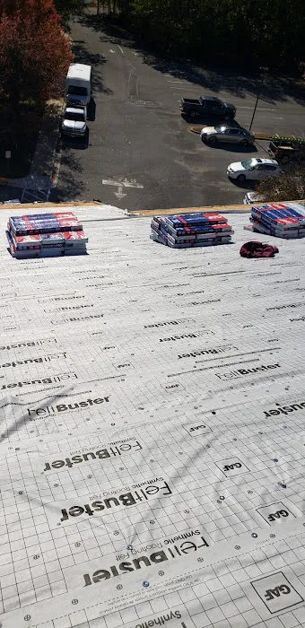 Terrapin roofing Picture 10