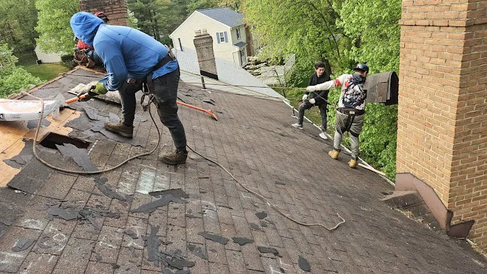 za & my services llc Picture 8