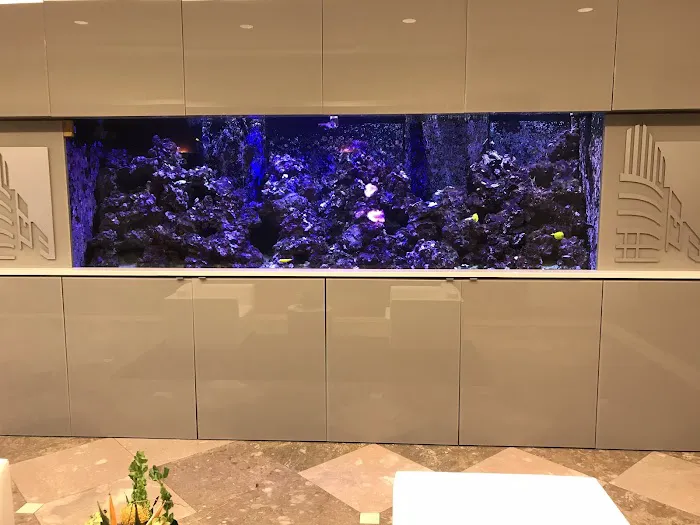 CHESAPEAKE ROOFING SOLUTIONS L.L.C Picture 5