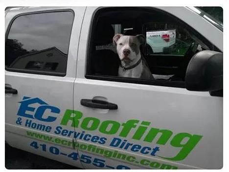 EC Roofing & Home Services Direct Picture 6