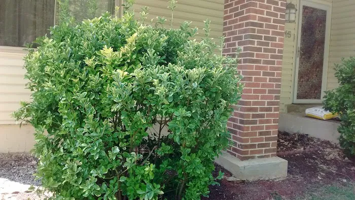 Park Place Contractors Picture 1