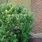 Park Place Contractors