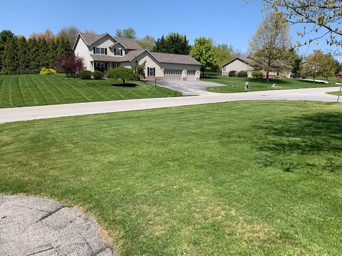 S & S Salvage Preservation LLC Picture 6