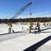 Raintree Services Inc. ico