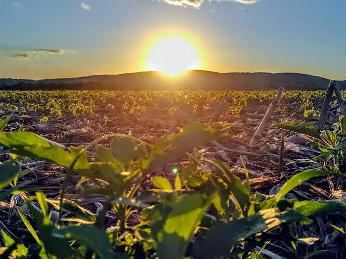 CoolWater LLC Picture 9