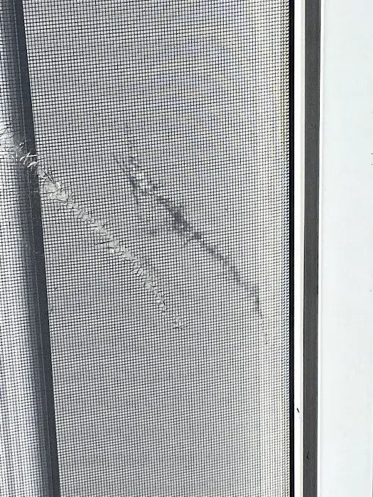 First Choice Exteriors LLC Picture 5