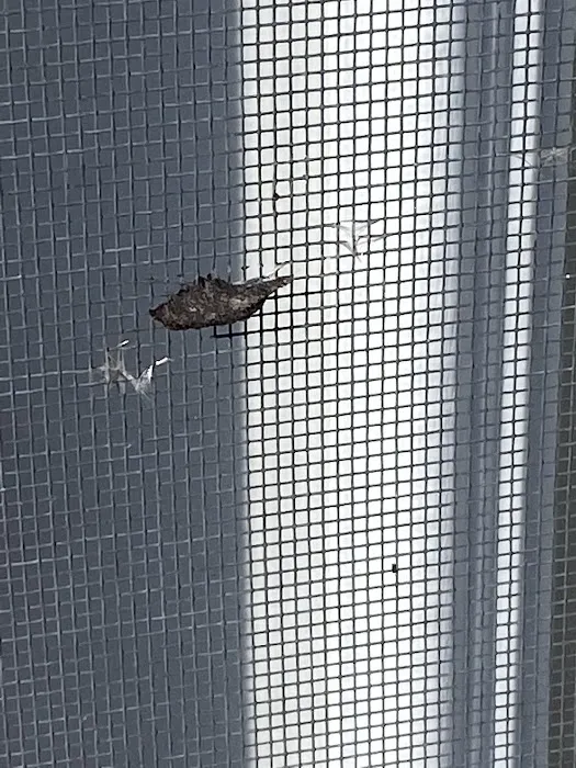 First Choice Exteriors LLC Picture 3